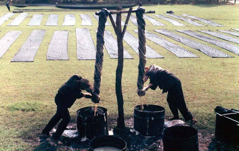 Về thăm làng nghề lụa Tân Châu - An Giang