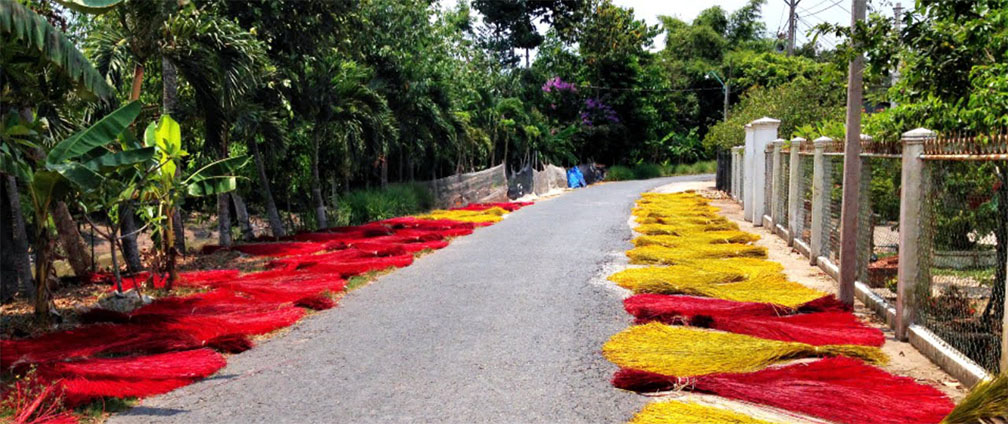 Tham quan làng chiếu Long Định