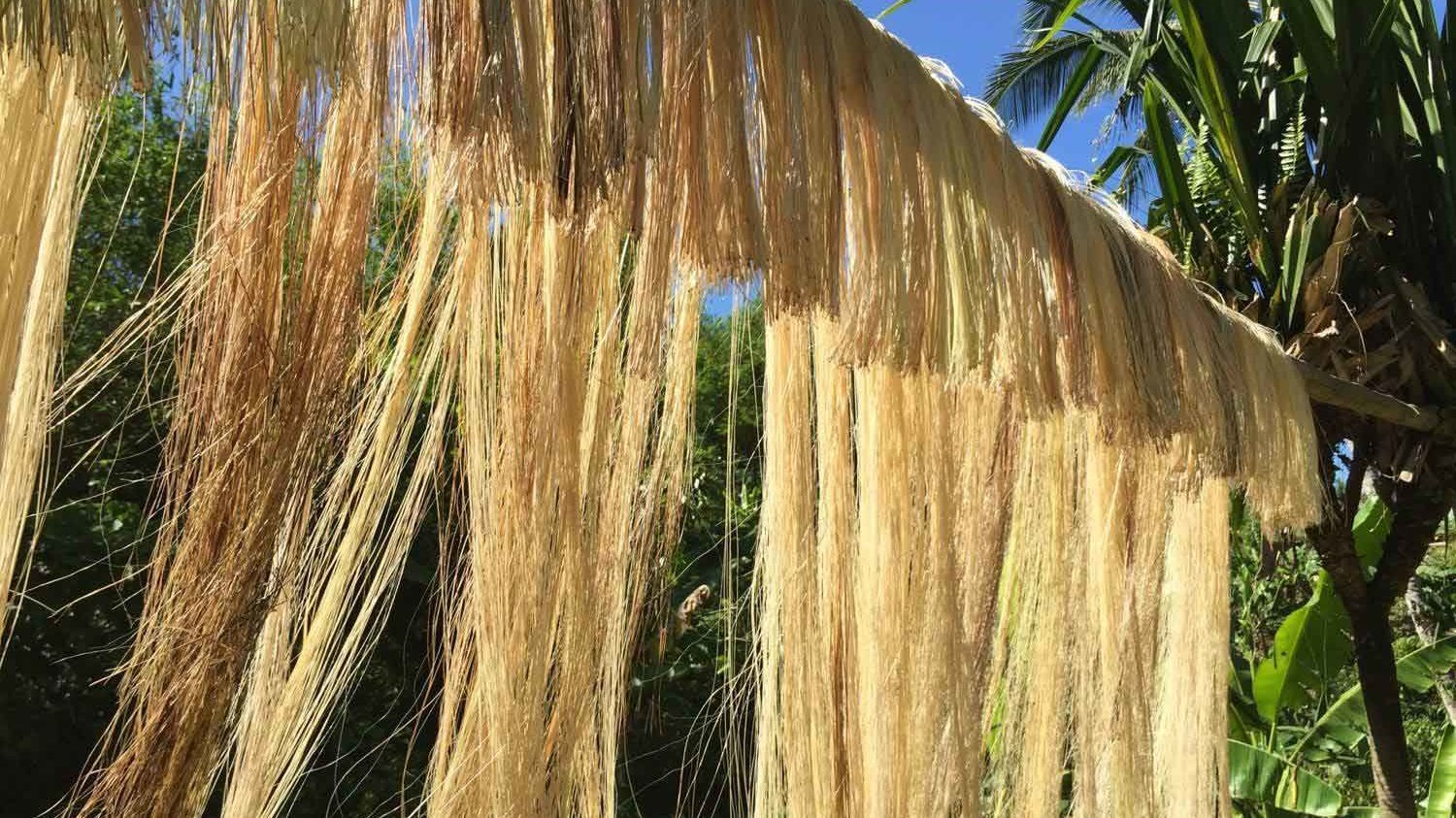 Vải tơ chuối của người Việt trong thư tịch cổ