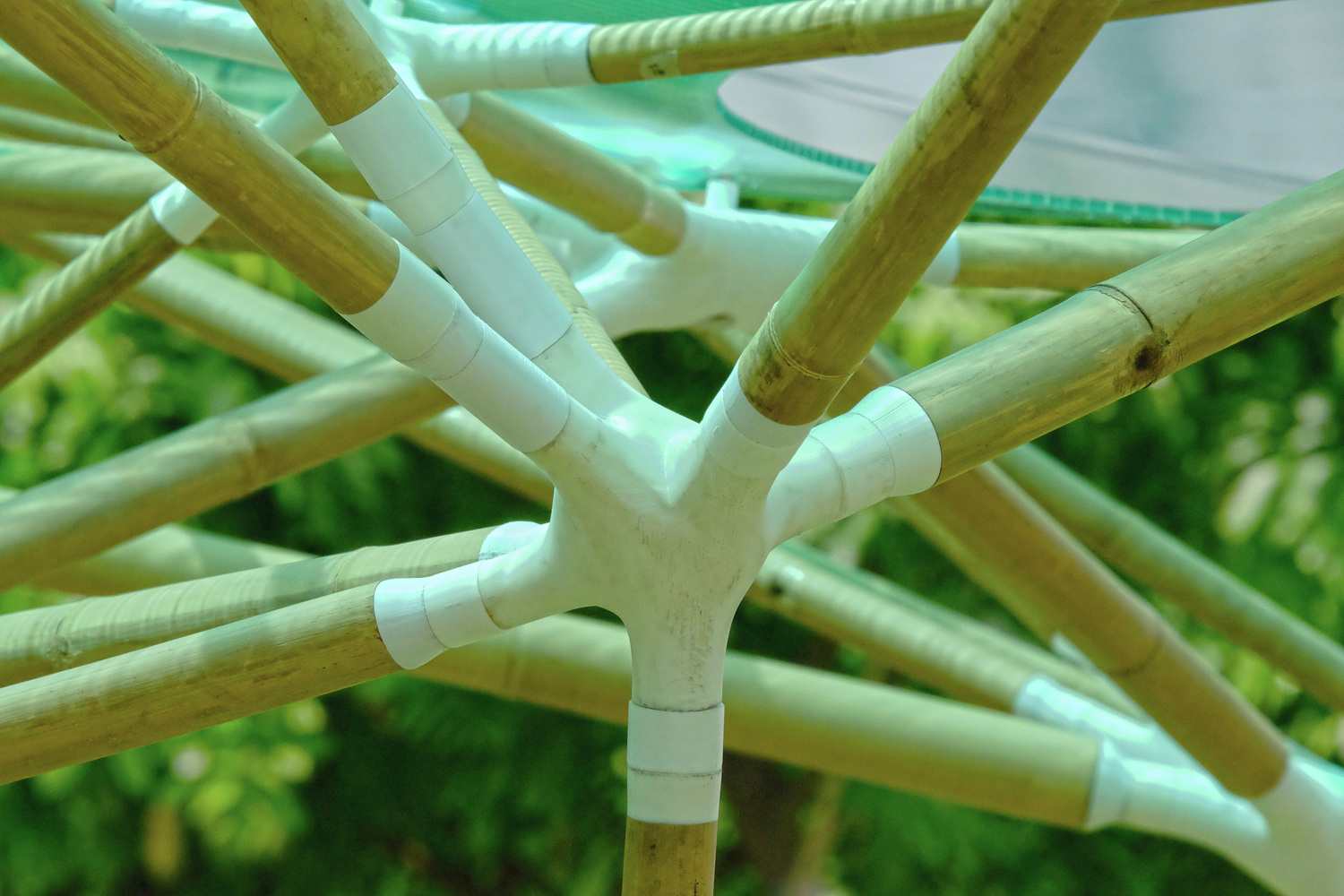 Tre in 3D kết nối truyền thống và công nghệ